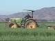 img-Mysterious-Chualar-crop-circle-plowed-under.