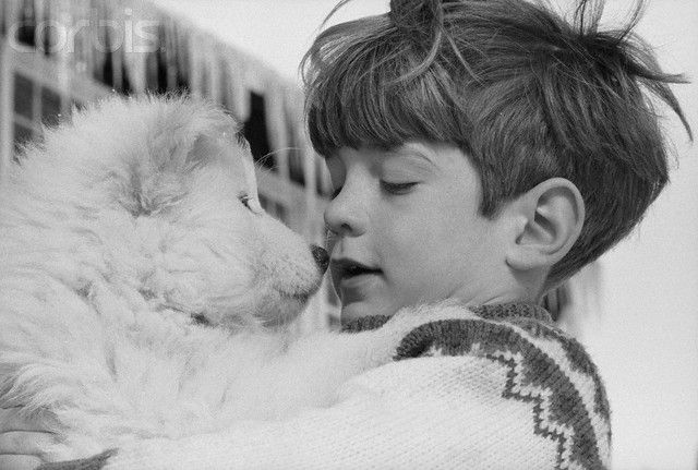 jfkjrpuppy1a.