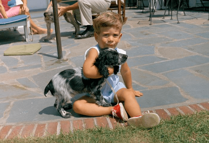 jfkjrpuppy2.