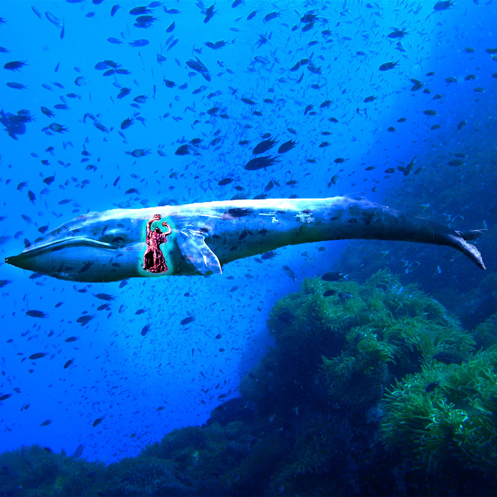 Jonah-in-whale.