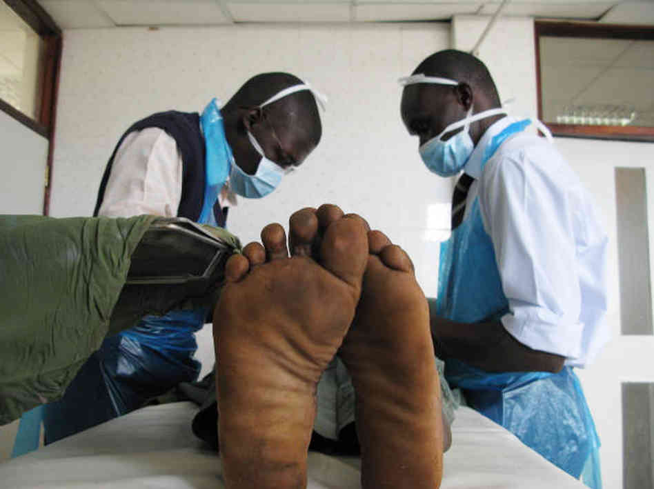 kenya_hiv1-0ace876d0df471fdfc959ef5ee10426bef35123c-s6-c30.