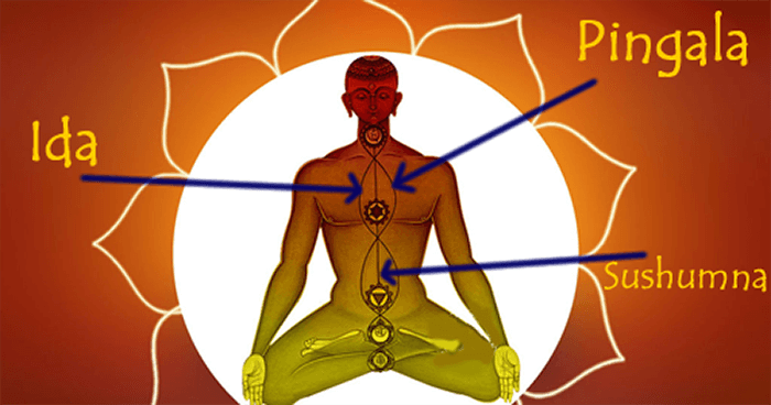kundalini_ida_pingala-copy.