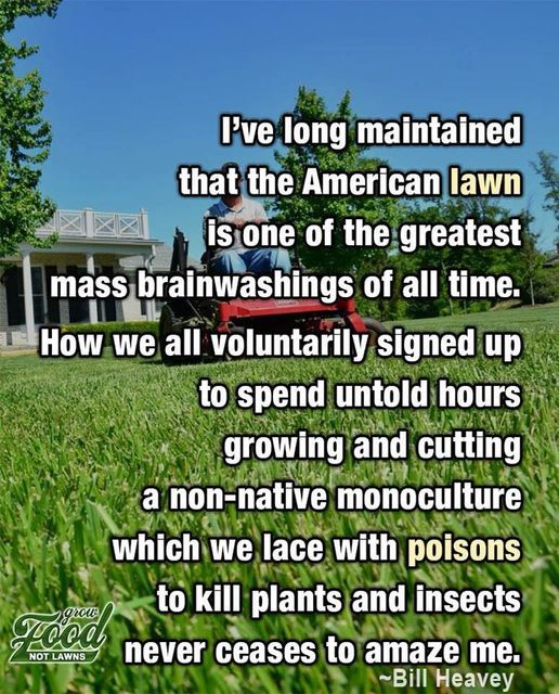 lawnculture.