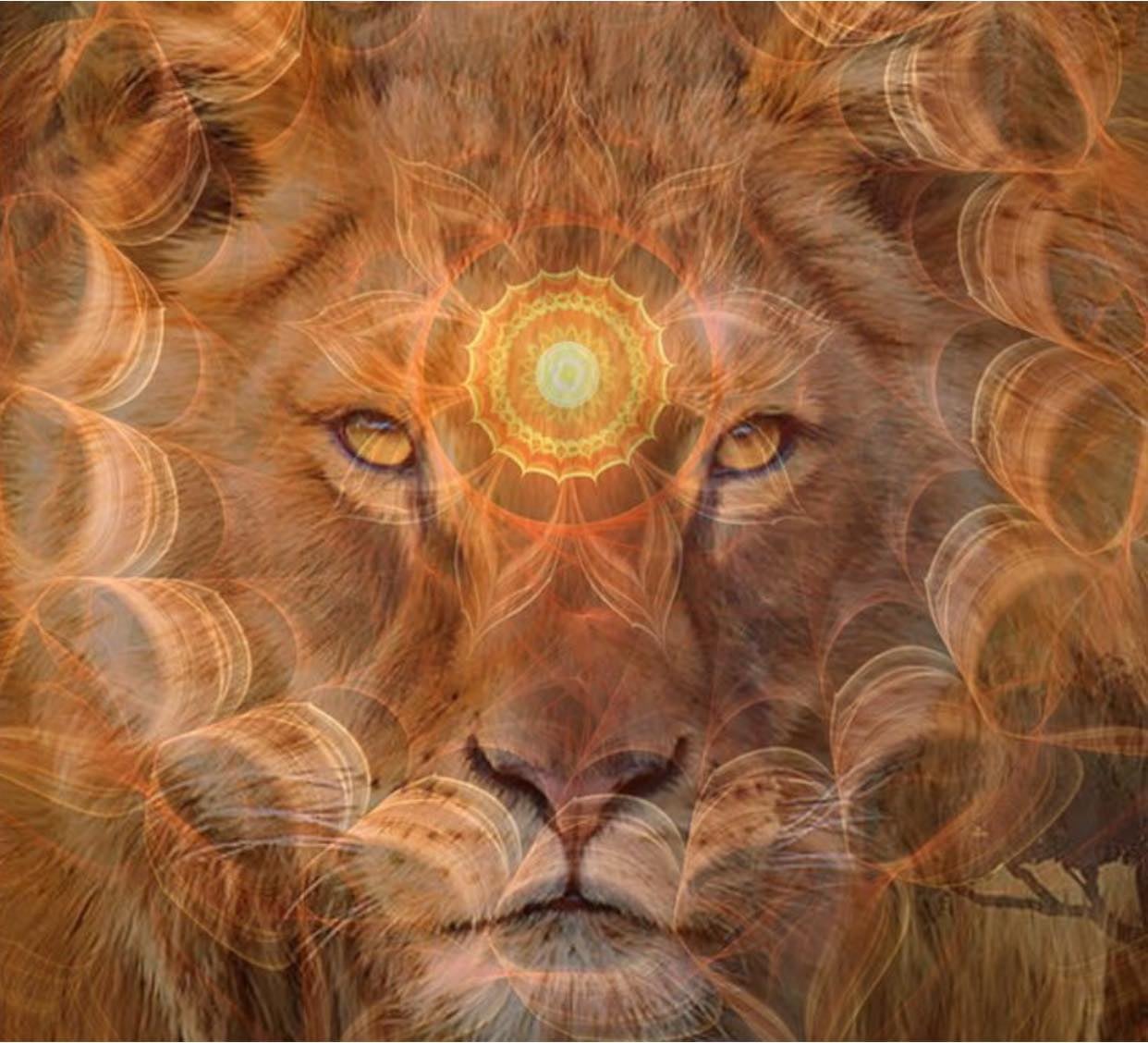 LIONAMAZING1.JPG