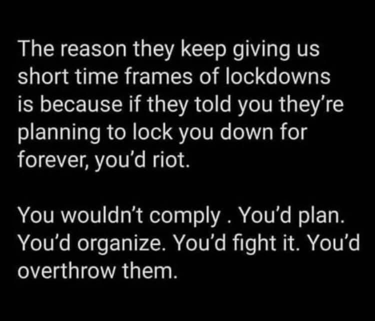 lockdownstruth.