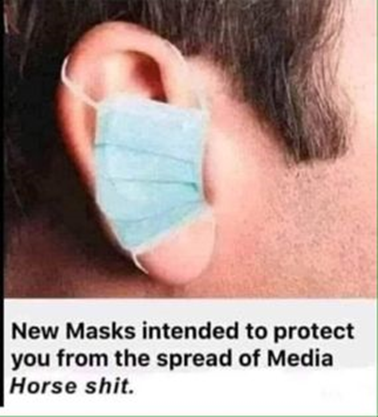 masksformediahorseshit.