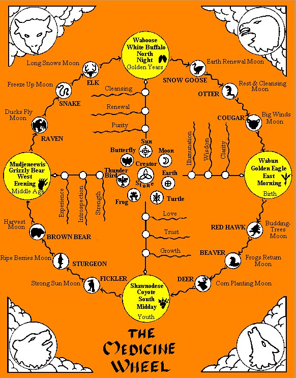 medwheel[1].