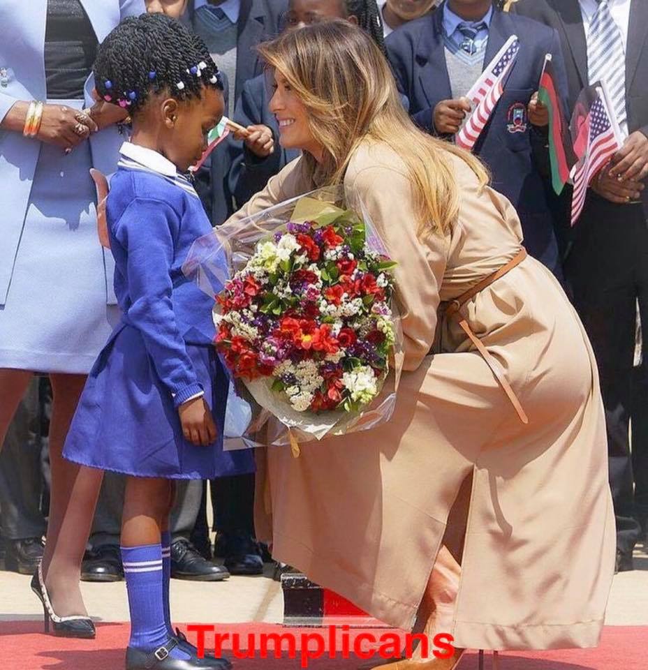 meltrump.