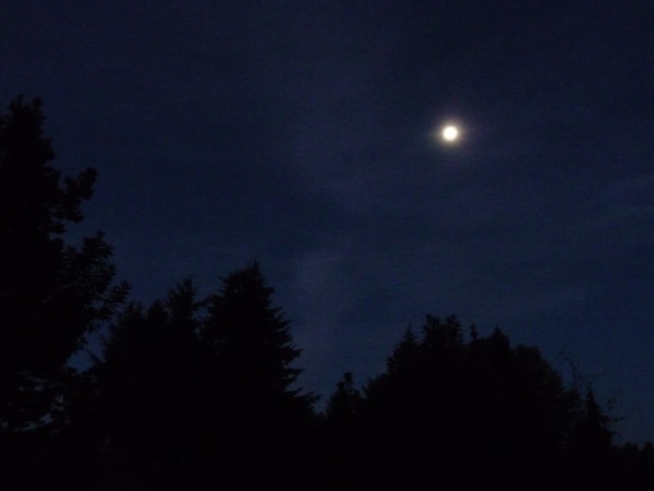 moon-on-dark-winter-night-600x450.