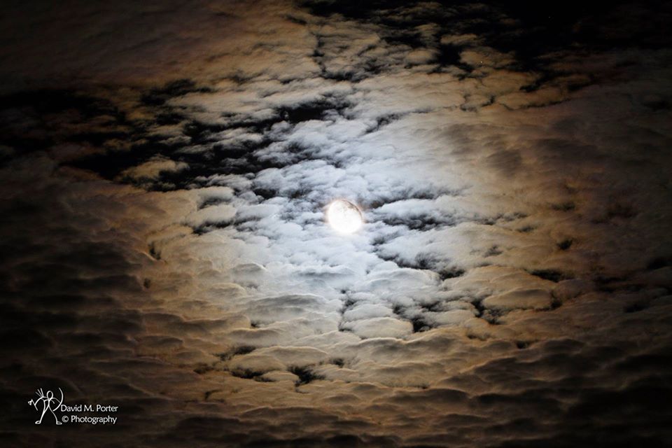 moonhalonov152019.