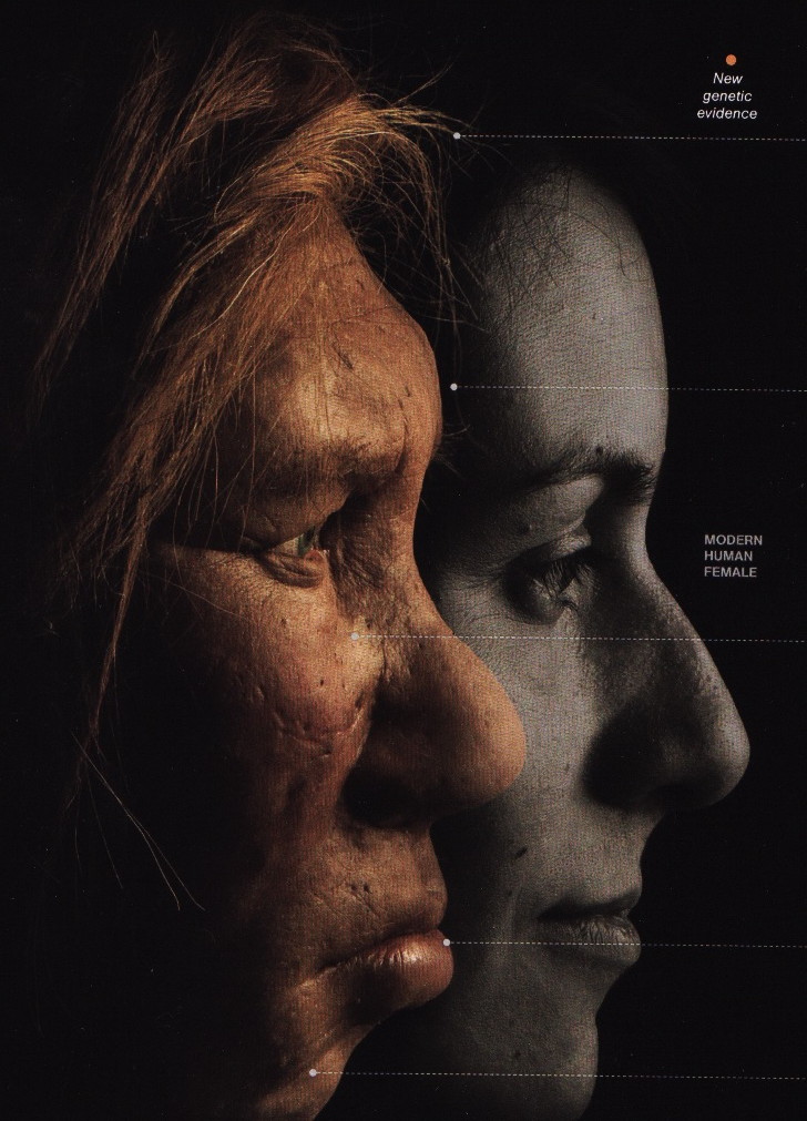 Neanderthal-women.