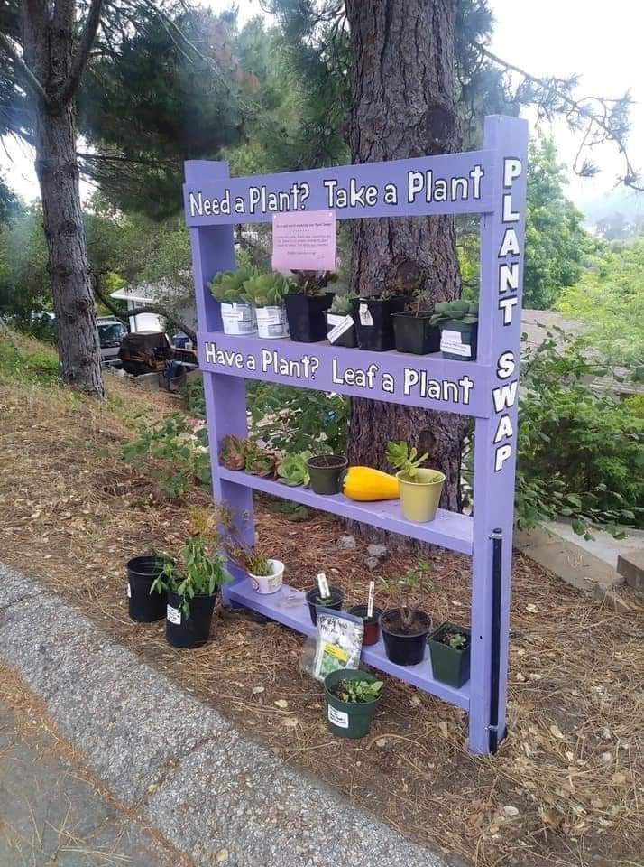 needaplanttakeaplant.
