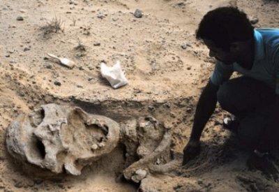 nephilimSkull.