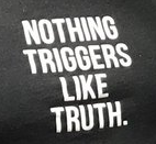 nothingtriggersliketruth.