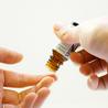 nt%2Fuploads%2F2019%2F03%2FOjUPxJgJ4JQ-Essential-Oil-essential-oils-for-inflammation-us-Featured.