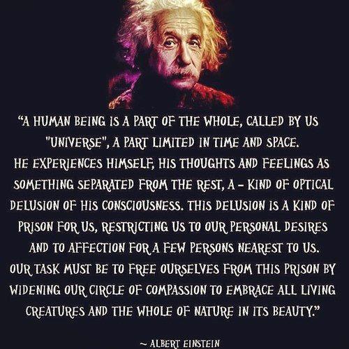 one.widen.circle.einstein.935349_530849816972168_1087082479_n.