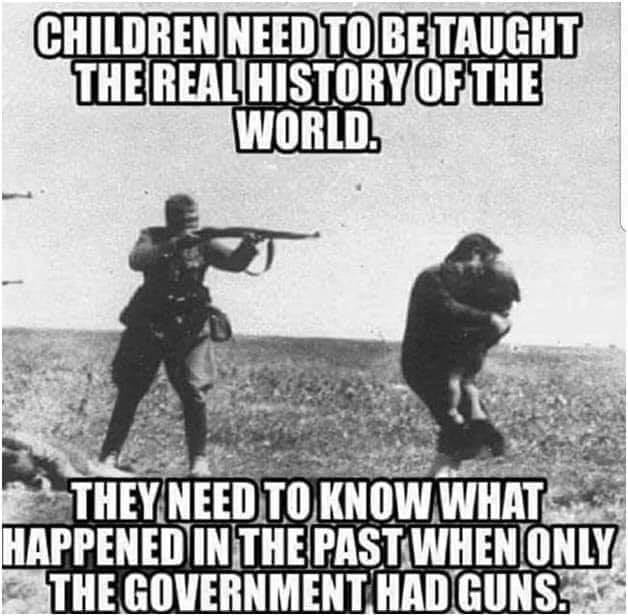 ONLYGOVTHADGUNS.