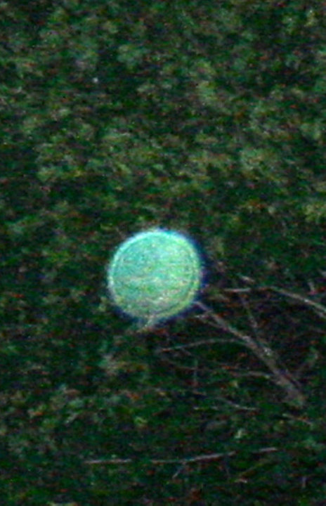 orb3.