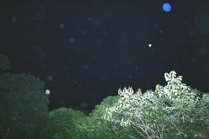 orb6.