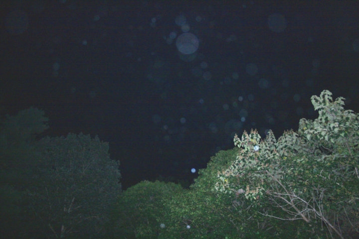 orb8.