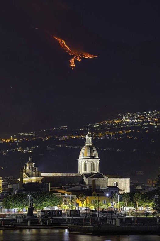 phoenixItal.