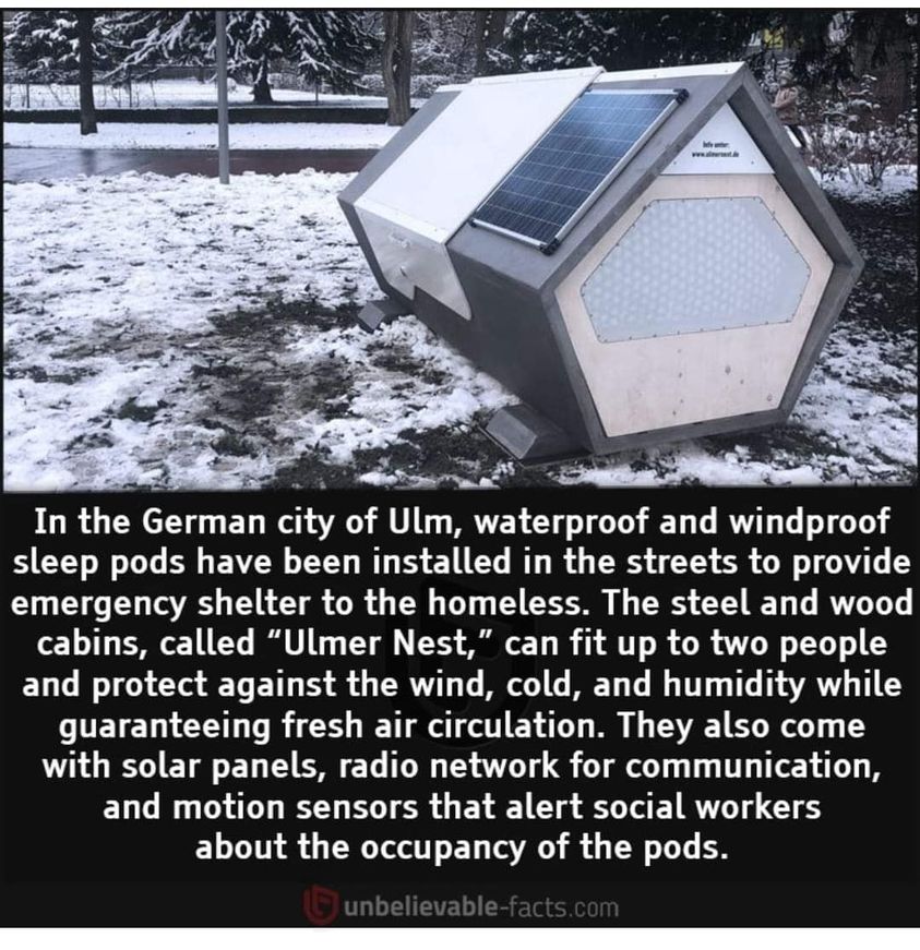 pods.