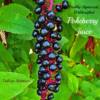 Pokeberry-Juice.