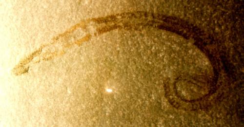 ps%3A%2F%2Finteng-storage.s3.amazonaws.com%2Fimg%2Fiea%2FQjOdzxmK6d%2Fsizes%2Frussia-nematode_md.