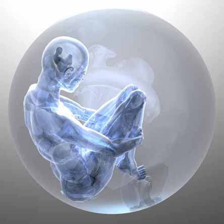 pyrthoth3manfetus.