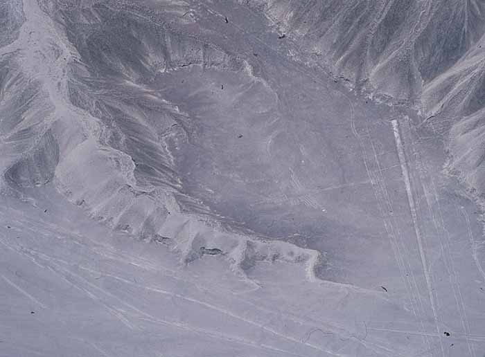 pyrthothnazca.
