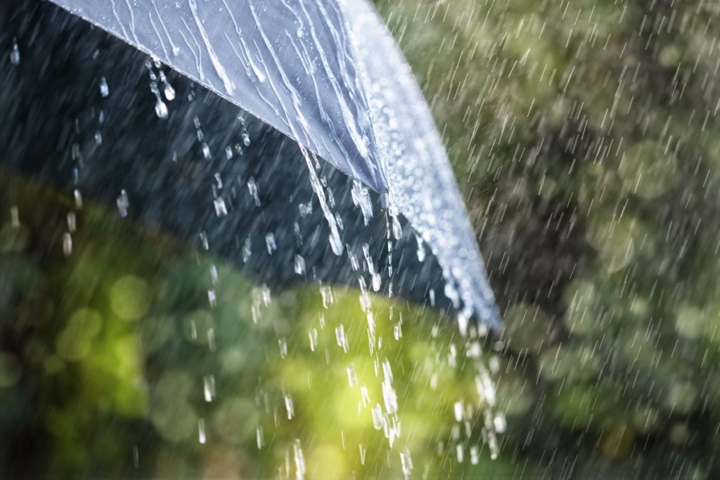 rain-1024x683.