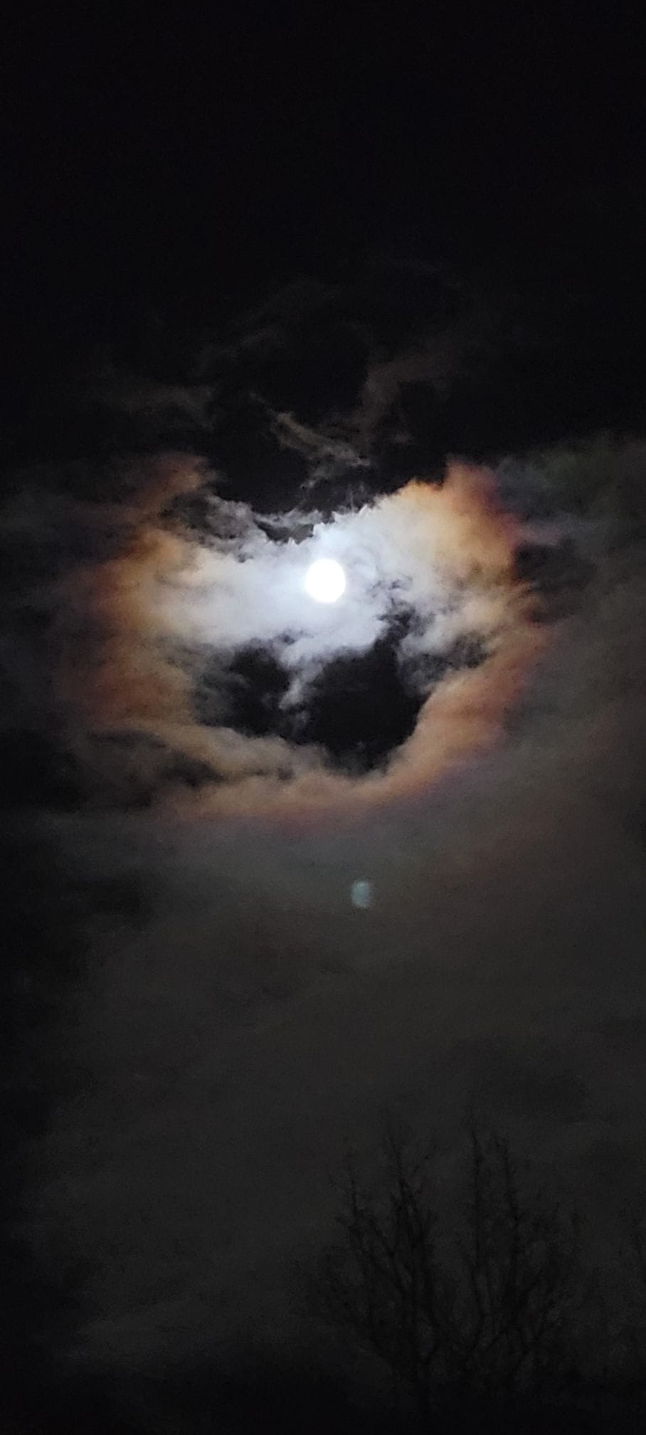 rainbow1b.