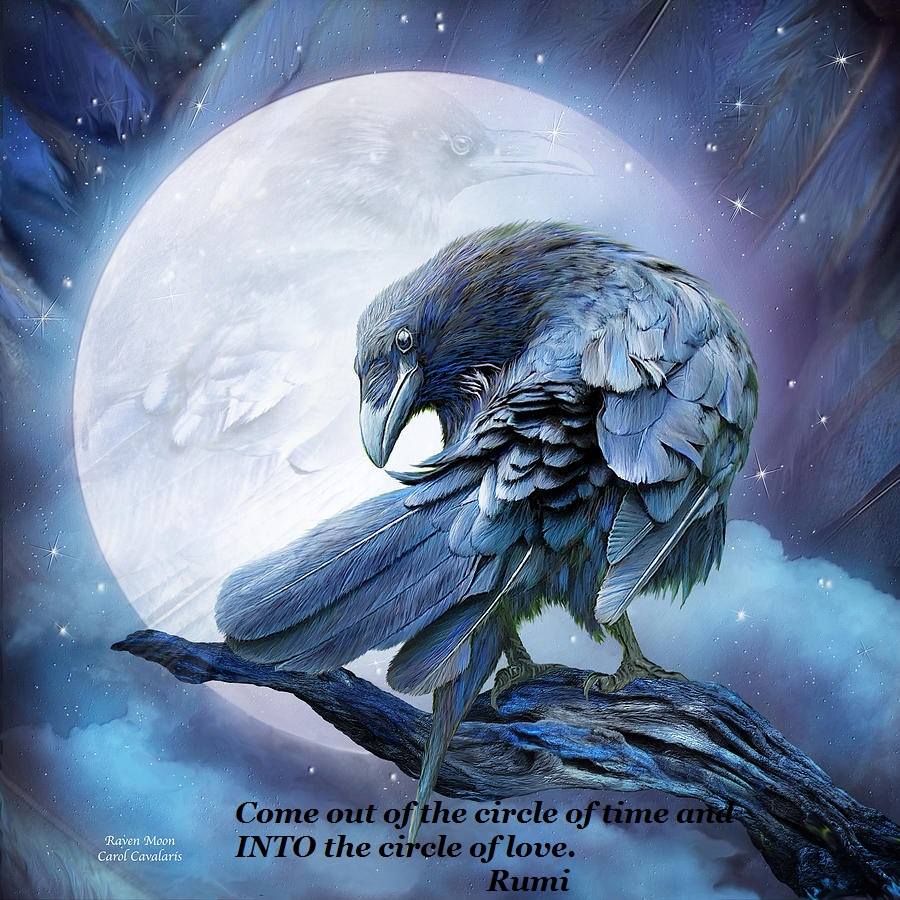 raven2016-.38134.