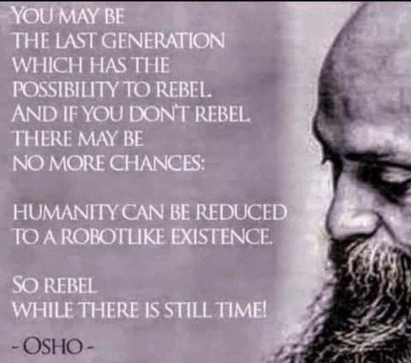 REBELOSHO.