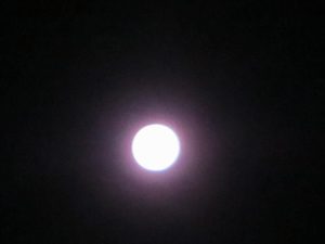 robinwilliamsmoon-300x225.