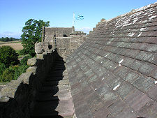 roof.