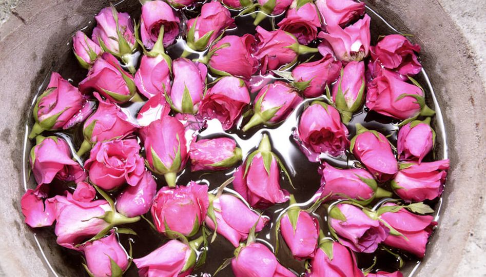roseslou.