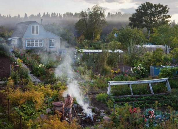 russian-dacha1.
