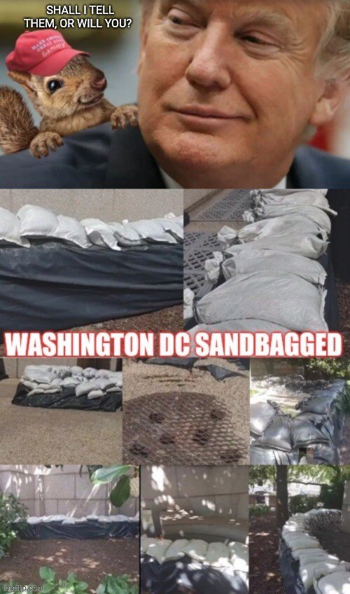SANDBAGS.JPG