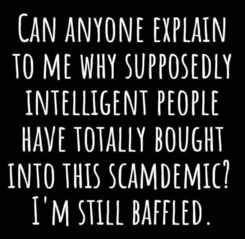 scamdemic.