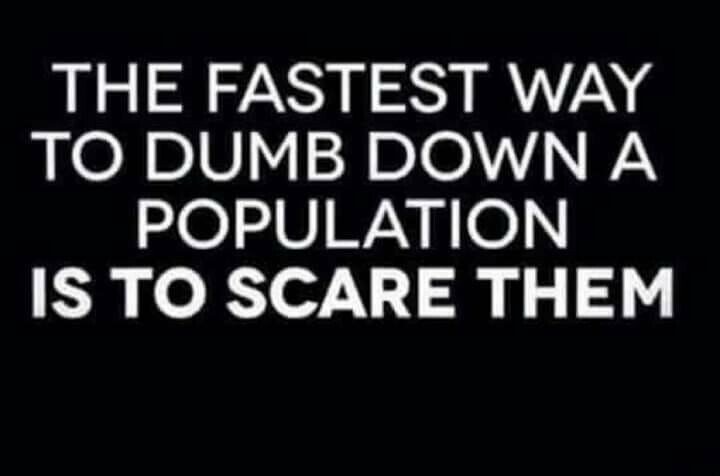 scarethem2.
