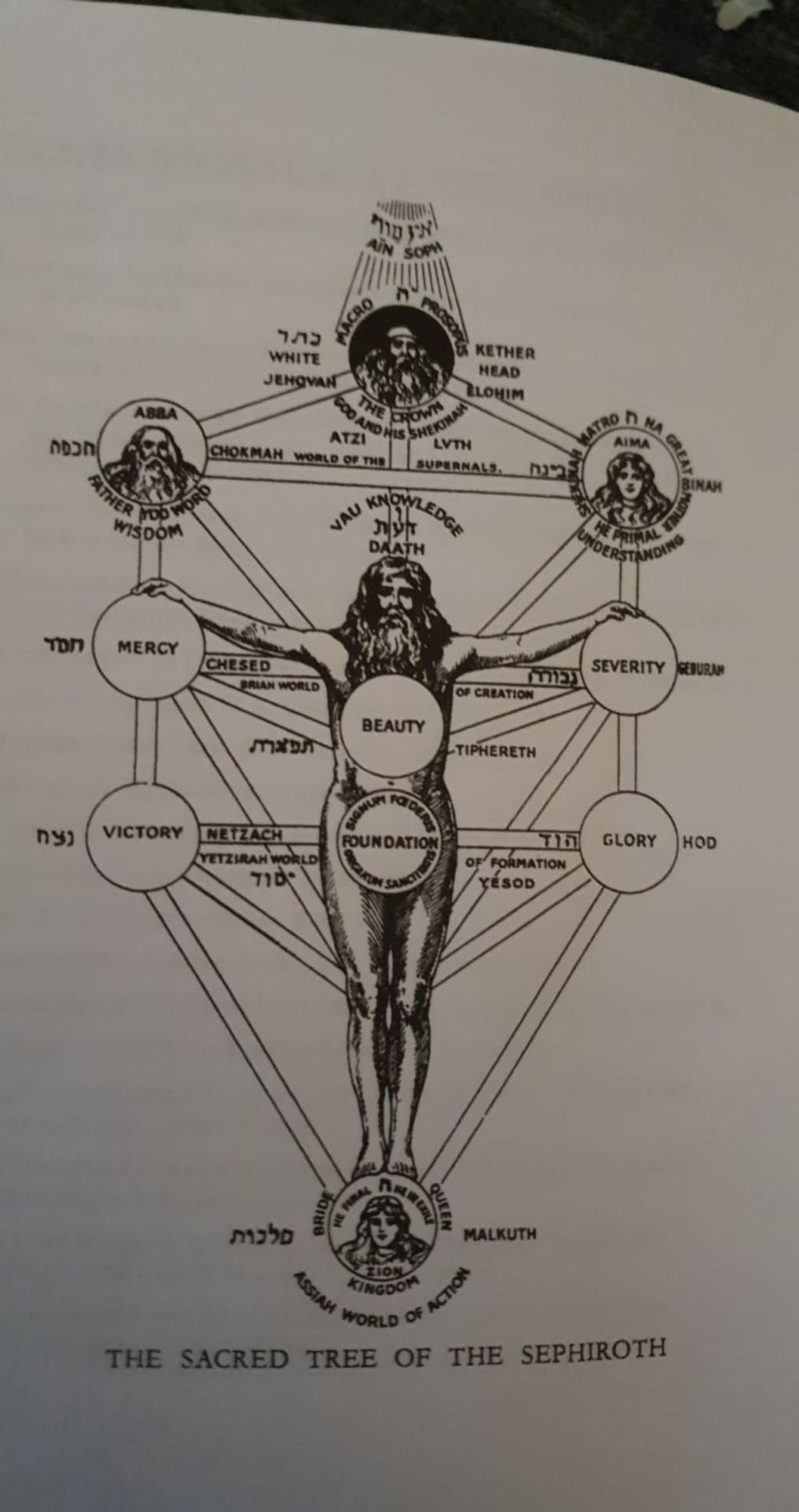 sephirot.
