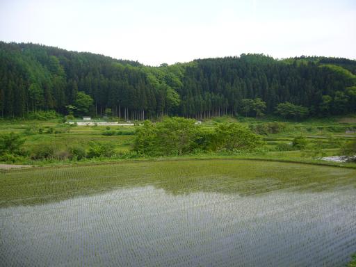 shingo_paysage.