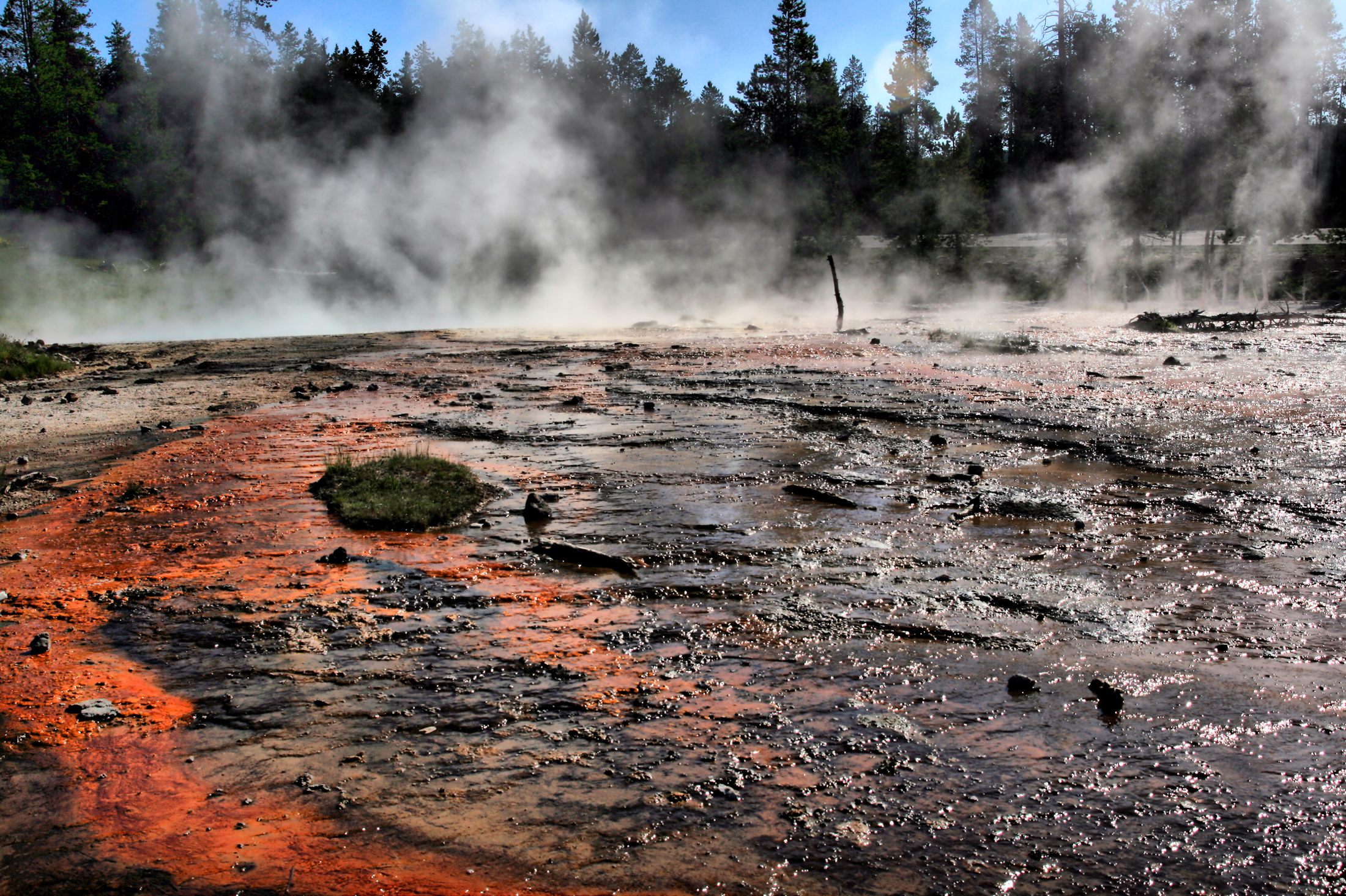 Silex_spring_overflow_in_yellowstone.