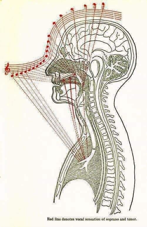 singing.