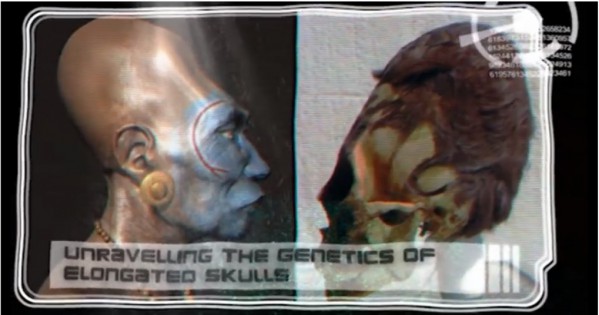 skulls-1024x536.