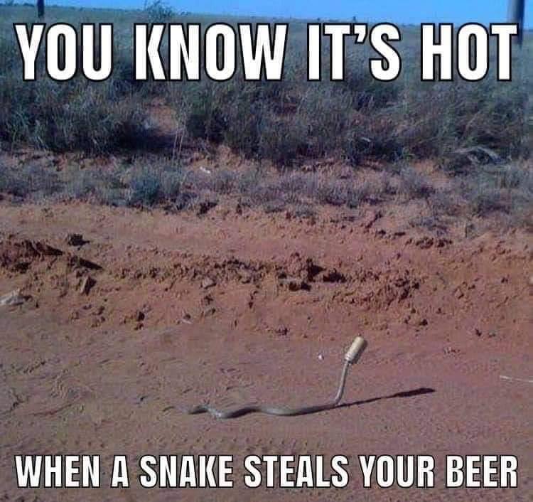 snakestealsbeer.