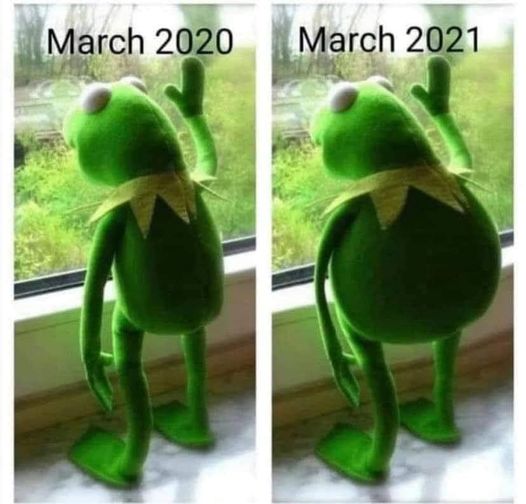 soggyfroggie.