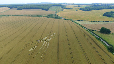 Space+Tentacles+Crop+Circle+at+Hill+Barn+Wiltshire+26th+July+2012.