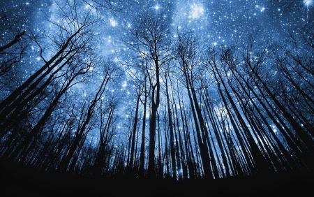 starrynight.
